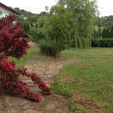 Vilă Sunny Boutique