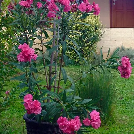 Vilă Sunny Boutique