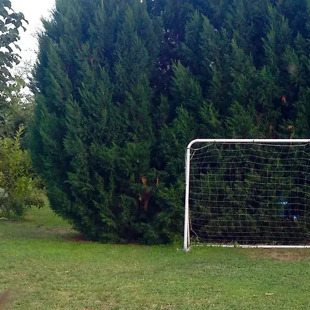 Sunny Boutique Villa