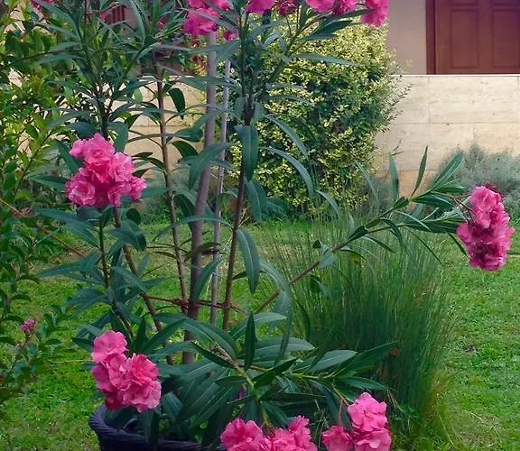 Луксозна вила Sunny Boutique