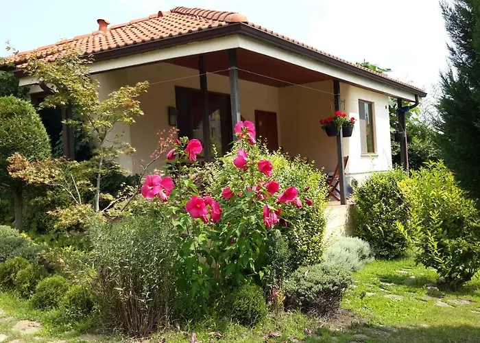 Sunny Boutique Варна