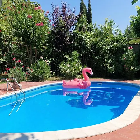 Sunny Boutique Villa *