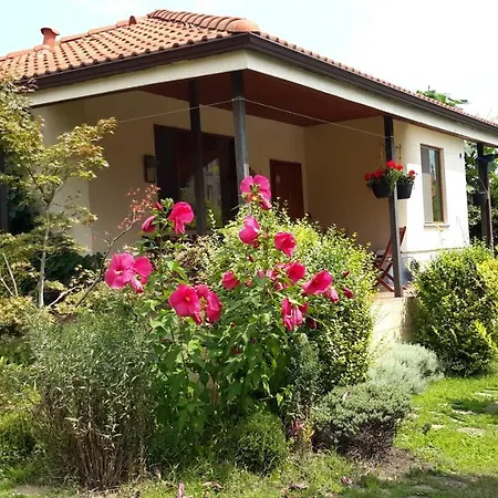 Sunny Boutique Varna