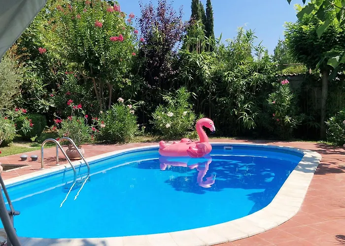 Sunny Boutique Willa *