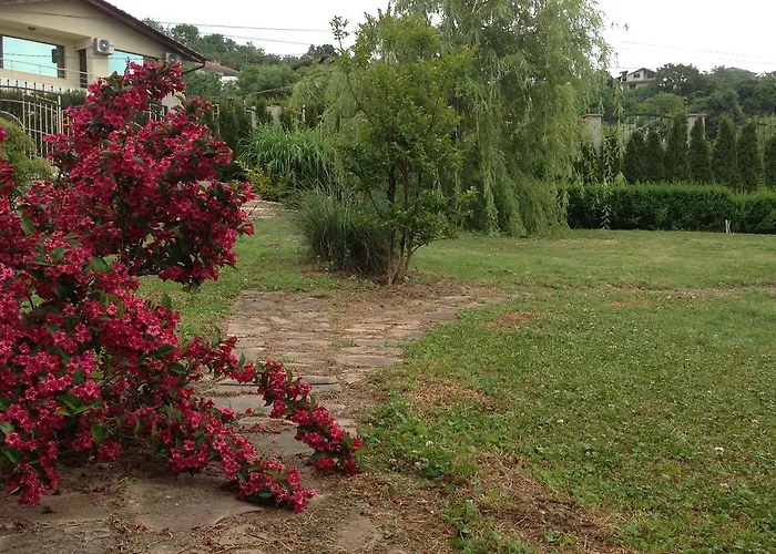 Willa Sunny Boutique