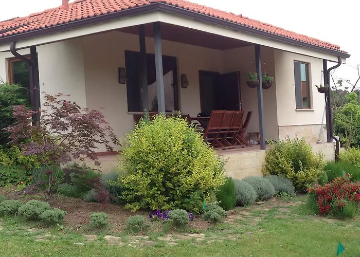 Willa Sunny Boutique *