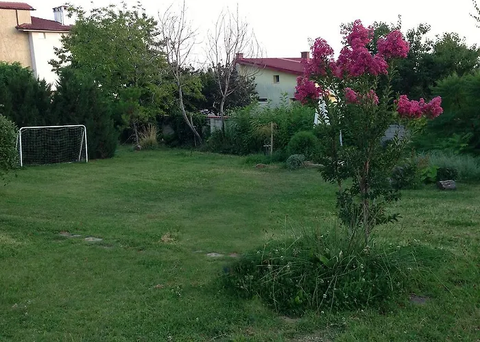 Willa Sunny Boutique *