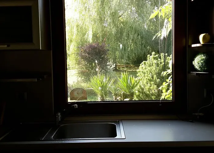 Sunny Boutique Warna